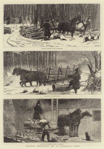 Vinterskisser på en kanadensisk gård